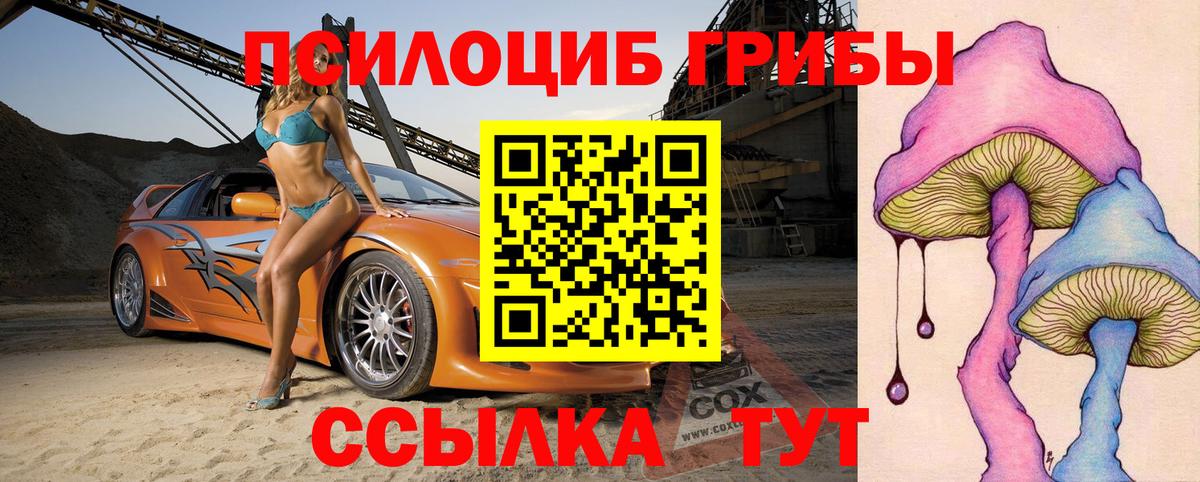 Псилоцибиновые грибы мицелий Озёры